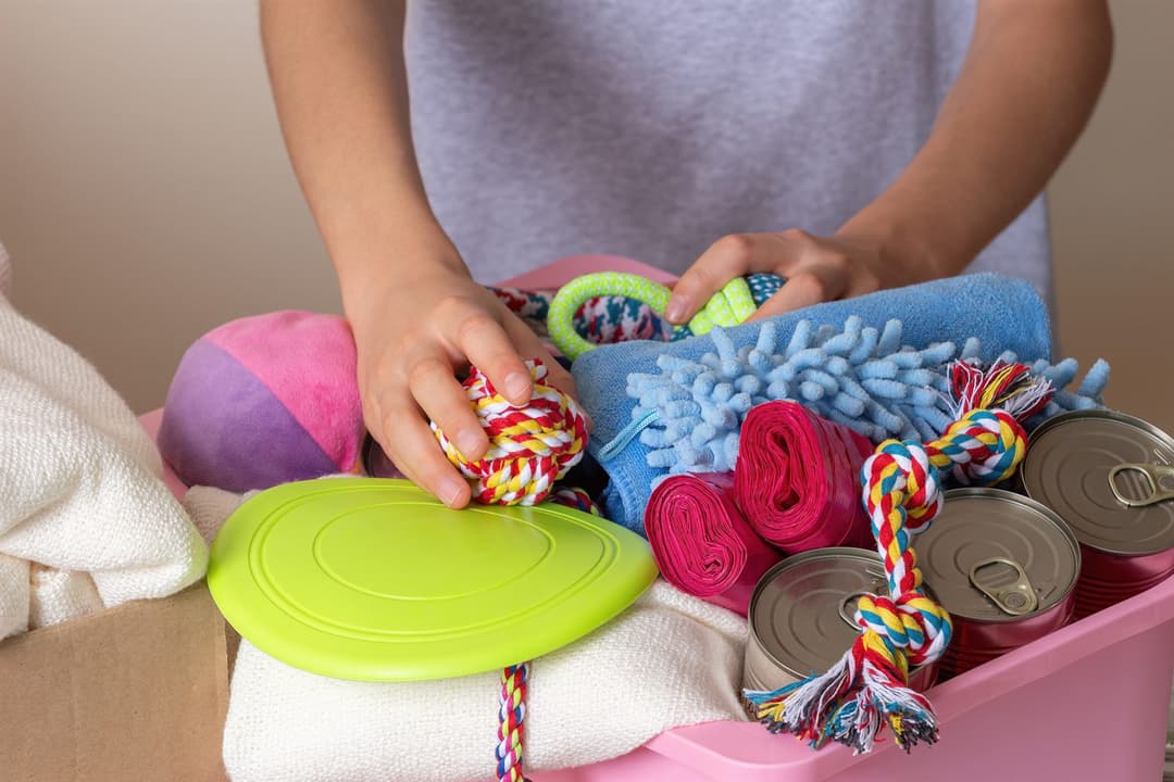 Hands packing rope toys, a frisbee, blankets and canned food into a donation bin